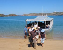 Citizen Science on the Great Barrier Reef Photo 10