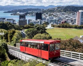 New Zealand Coastal Odyssey Photo 16