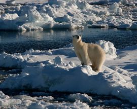 North Spitsbergen Explorer Photo 4