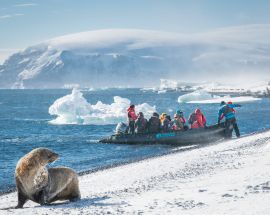 Around Spitsbergen, In the realm of Polar Bear & Ice Photo 8