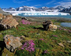 Around Spitsbergen, In the realm of Polar Bear & Ice Photo 7