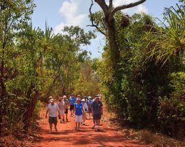 Cape York & Arnhem Land - Art Themed Photo 2