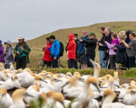 New Zealand Coastal Odyssey Photo 12