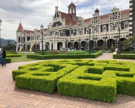 New Zealand Coastal Odyssey Photo 15