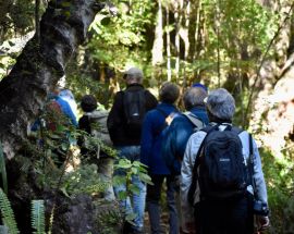 New Zealand Coastal Odyssey Photo 18