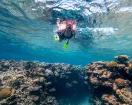 Citizen Science on the Great Barrier Reef Photo 3