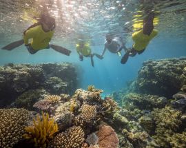 Citizen Science on the Great Barrier Reef Photo 9