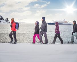 Falkland Islands - South Georgia - Antarctica Photo 12