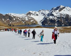 Falkland Islands, South Georgia & Antarctic Peninsula Photo 4