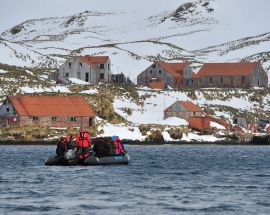 Falkland Islands, South Georgia & Antarctic Peninsula Photo 7