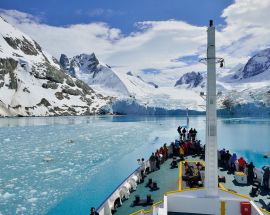 Falkland Islands, South Georgia & Antarctic Peninsula Photo 11