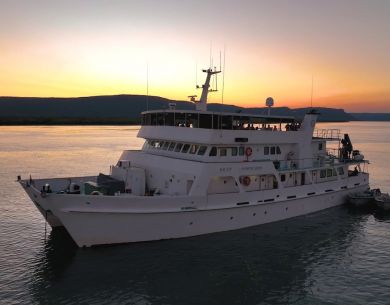 Eco Abrolhos